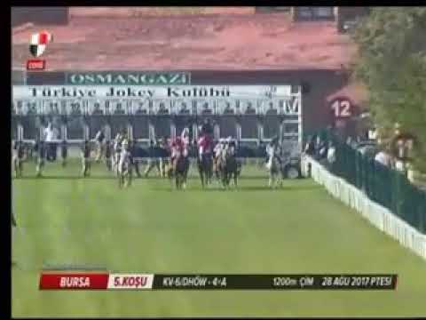 EMİR KOŞUSU (KV-6/4+A ) 28/08/2017 BURSA