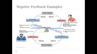 Maintaining Homeostasis Nervous and Endocrine