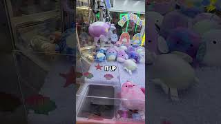 The UNBELIEVABLE Happened at a Squishmallow Claw Machine! #shorts
