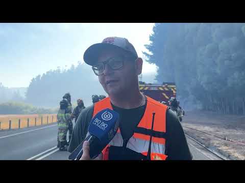 Incendio forestal entre Santa Juana y Coronel: ocurre en medio de Alerta Roja por calor extremo