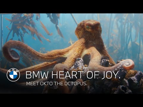 BMW Heart of Joy | Meet Okto the octopus