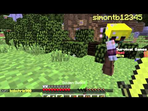 Minecraft HUNGER GAMES W/ "SimonTheComedian"