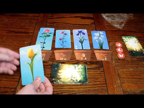 Blossoms - Rules Recipe