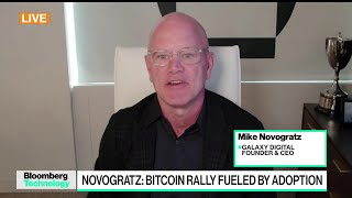 Novogratz Says Bitcoin Participation Is Just Starting