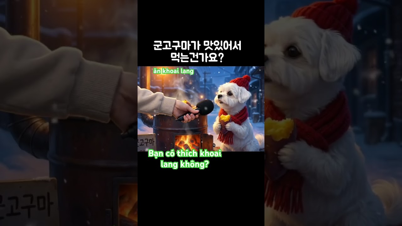 하노이도 겨울이 오고 있어서  만들어봄! ( #disney 고구마 먹는 말티즈) #하노이생활  #maltes…