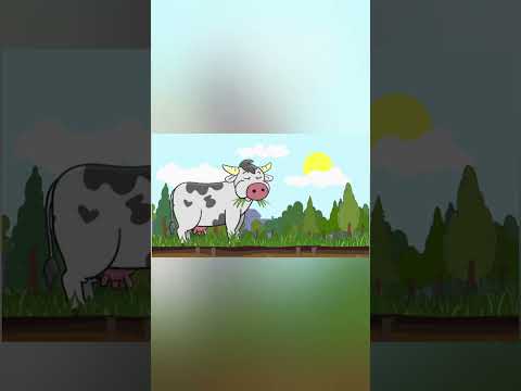 Mein neues Kinderlied "RUDI REGENWURM" ist da.