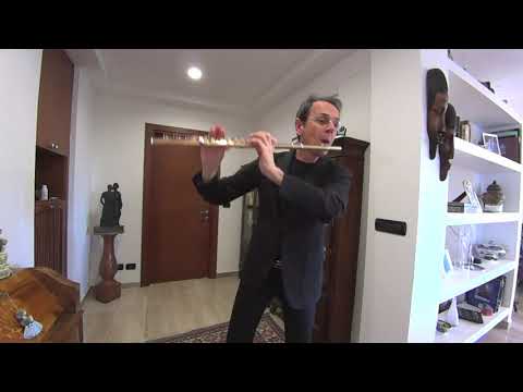 Giampaolo Pretto: The Quarantine Microconcerts - 10 - G. P. Telemann: Fantasia nr. 9 in E major HD