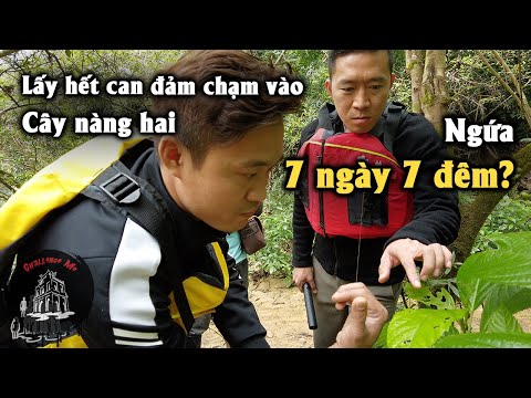 Hoàng Nam khó khăn ngược suối lên hồ thượng nguồn ở Quảng Bình