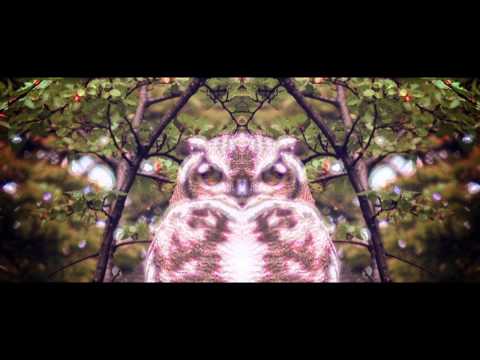 Love Like Swords video