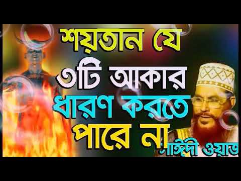 আল্লামা দেলোয়ার হোসেন সাইদি Bangla Waz   #Delwar Hossain Saidi new Waz 1998 #ytitas #titas