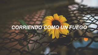 HAERTS – Your Love || Sub Español.