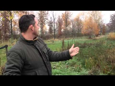 Dave Bakker Nieuwe natuur aan de Lunterse beek in Renswoude