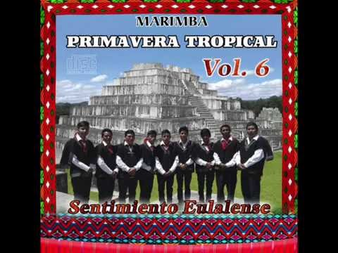 Marimba Primavera Tropical vol.6 - Despedida Nostálgica