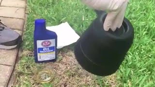 DIY getting rid of yellow flies