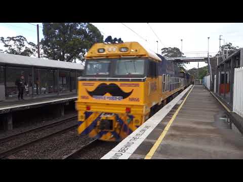 NR66 (Movember) / 8229 / 8169 / 8228 with PN 5BW4 - 13/11/20