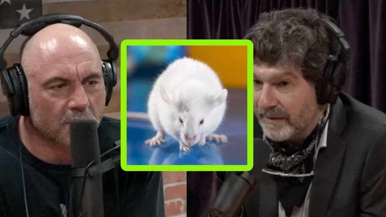 The Problem with America’s Lab Mice and Why it Should Matter to You