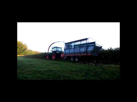 Sechszylinder mit Gebrüll beim Maishäckseln - Fendt 395 GHA Geräteträger und Mengele SH 25 F