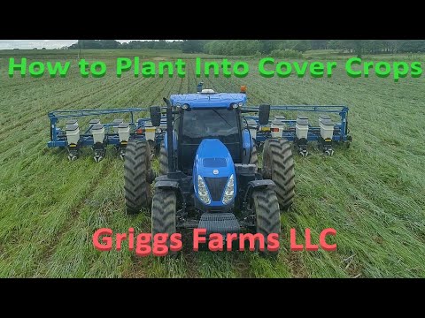 How to Plant into Cover Crops (4K)