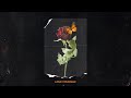 Phora Love Yourself