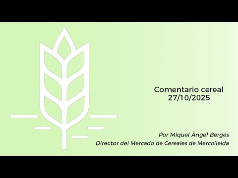 Comentario cereal - 27/10/2025