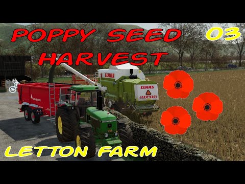 Poppy seed harvest goes smoothly! - Letton Farm Ep3 - Farming Simulator 22