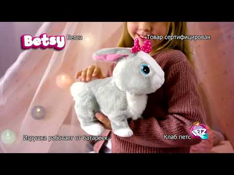фото кролик betsy 0