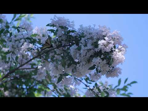 Armin Van Buuren feat. David Hodges - Waking Up With You 432hz