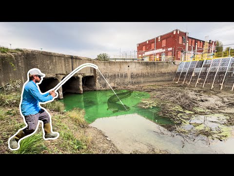 Fishing a Ditch in the HOOD = A NEW PB!!!