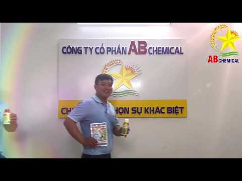 DỊCH HẠI TRÊN LÚA - NỔI LO CỦA QUÝ BÀ CON - GIẢI PHÁP CỦA AB CHEMICAL