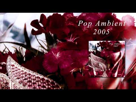 Markus Guentner - Innenfeld 'Pop Ambient 2005' Album