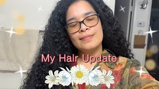 My Hair Update (Porosity, Protein, Density/Texture, Elasticity) | Curly Cami Channel