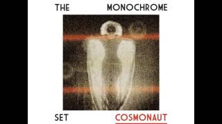 The Monochrome Set  -   Squirrel in a Hat