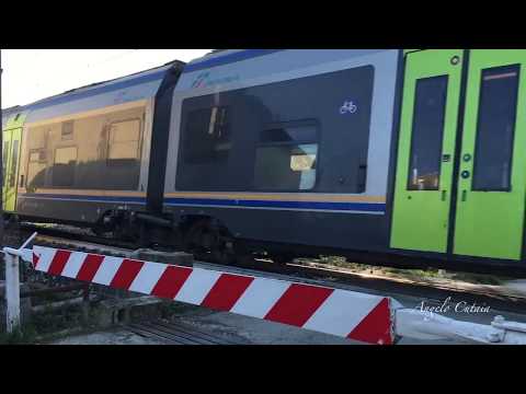 Minuetti in Movimento