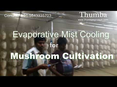 Mushroom Farm Climate Control System — Thumba Agro Technologies