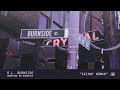 R.L. Burnside - Skinny Woman (Official Audio)