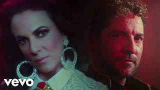 Edith Márquez, David Bisbal - Es Complicado