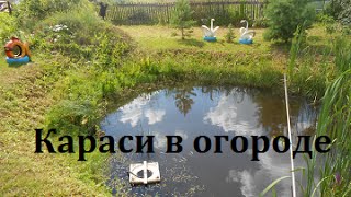 Пруд для рыбалки документы