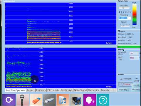 VOCALAB - Real time spectrum