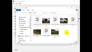 Bulk convert Sony ARW image files to JPEG format