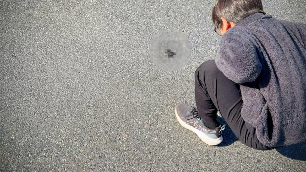 マジでヤバいの見つけた