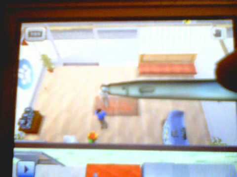 Real Stories : Amoureux pour la Vie Nintendo DS