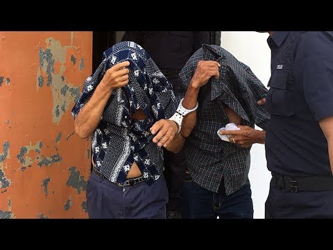 Duo who dragged dog for 2.3km slapped with enhanced sentence