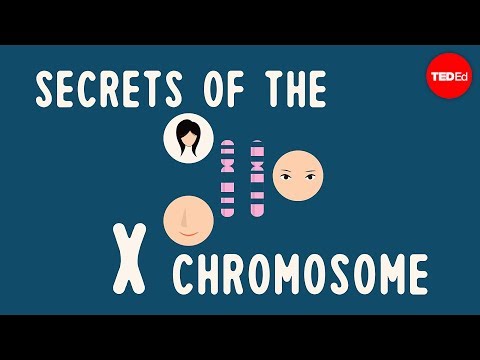 Secrets of the X chromosome - Robin Ball