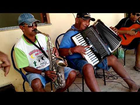 Forró n° 1 video