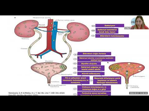 Geriatrik Populasyon 21 mart 2024
