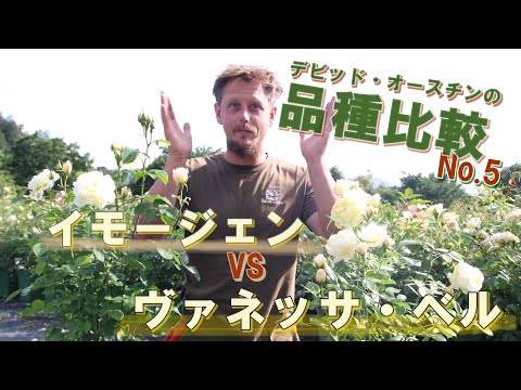 園芸 青城山産インパチェンス・チュベローズ、中国産チュベローズ・バルサム