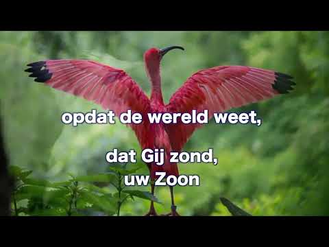 Opwekking 118 Vader, maak ons één