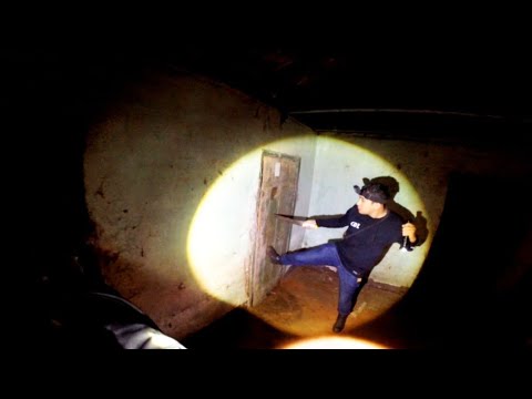 WHAT CREATURE IS TRYING TO ENTER THE HOUSE? *we are scared*