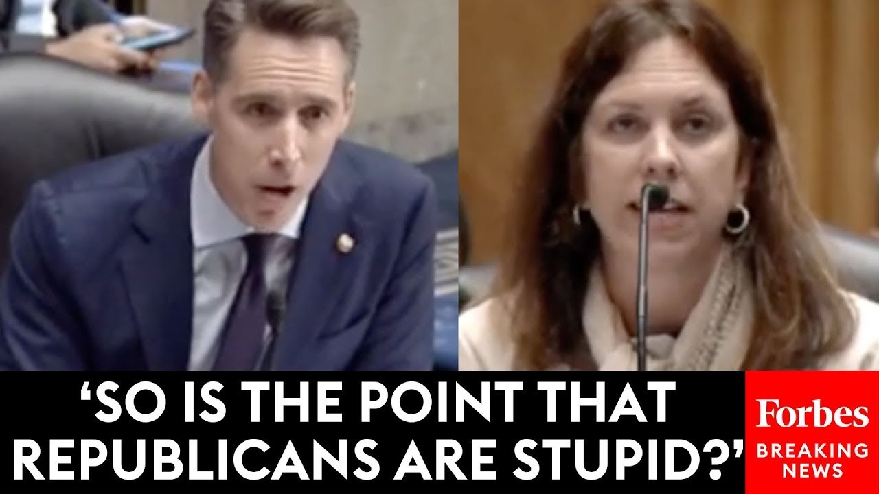 'So Is The Point That Republicans Are Stupid?': Josh Hawley Grills Biden Nominee On Past Writing
