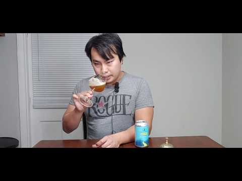 Athletic Brewing Run Wild IPA (N/A Beer Gets You Buzzed?!) Review - Ep. #2427